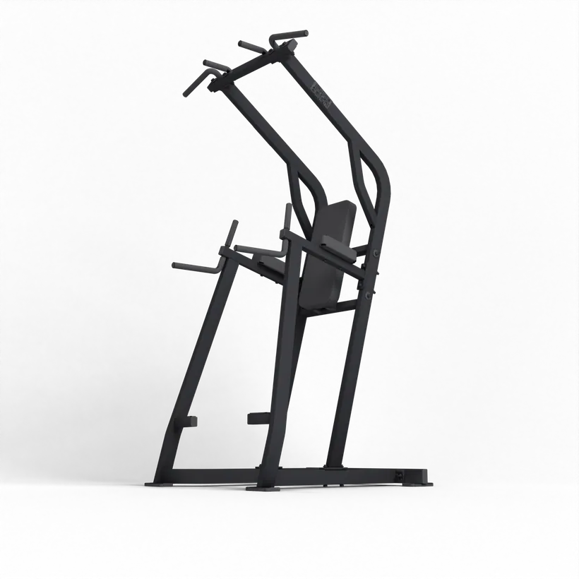 Chin Dip Leg Raise