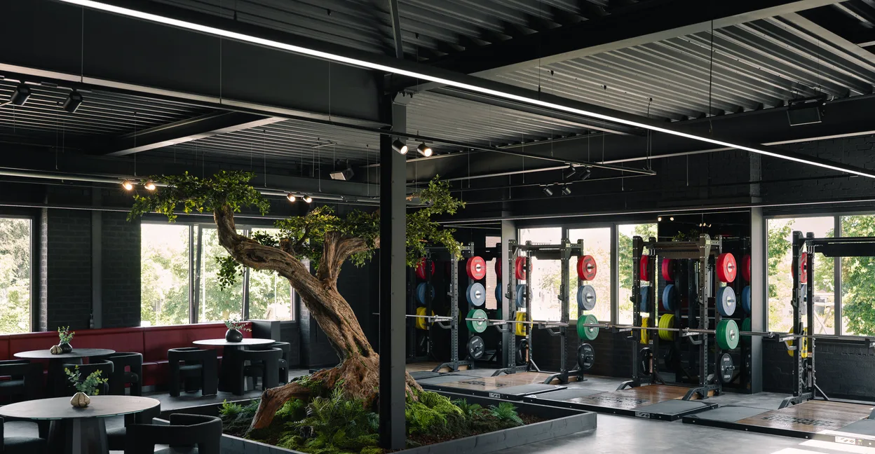 De krachtvloer van XXL Gym Helmond, met de boom en de squatracks