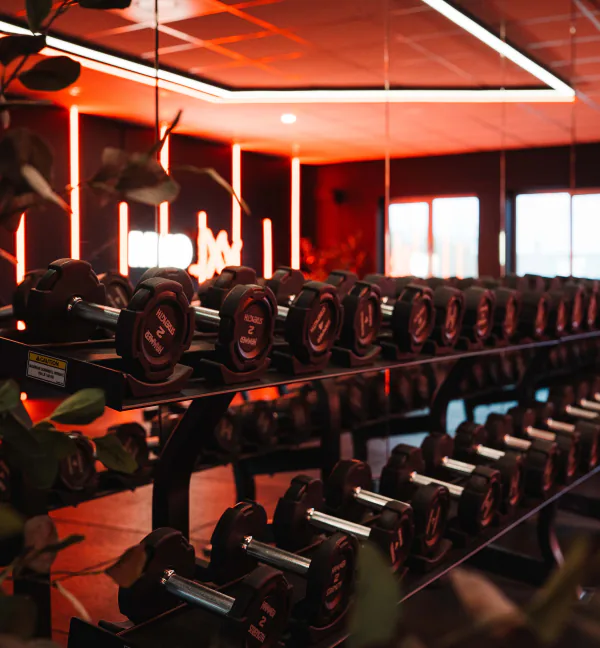 Dumbbellrek met planten en rode verlichting in XXL Gym Nuenen